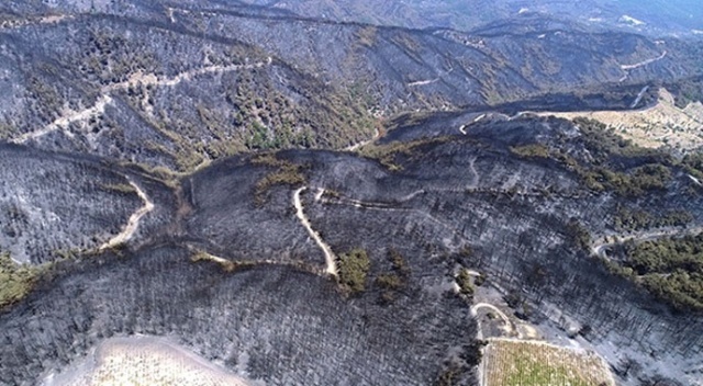 İzmir'de ki yangından bu görüntüler kaldı
