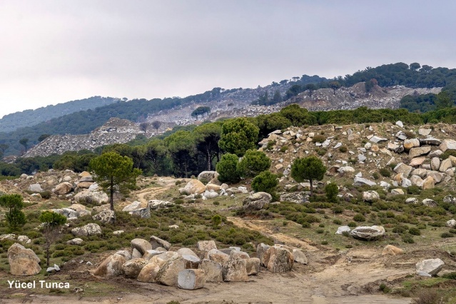 Kozak için tepki ver!