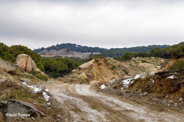 Kozak için tepki ver!
