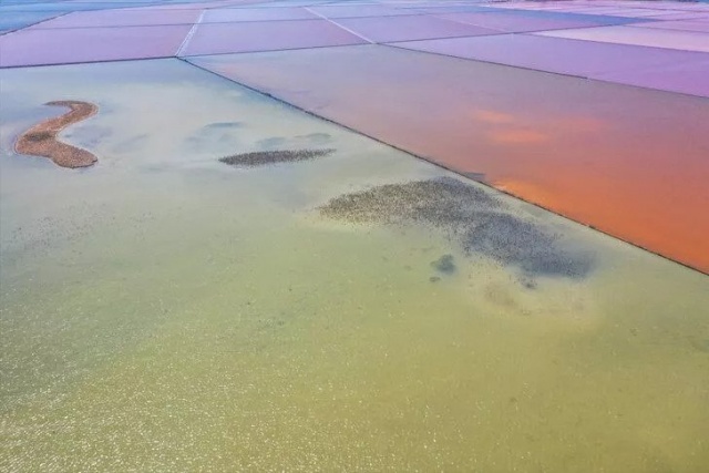 İzmir Kuş Cenneti’nde Muhteşem Olay!