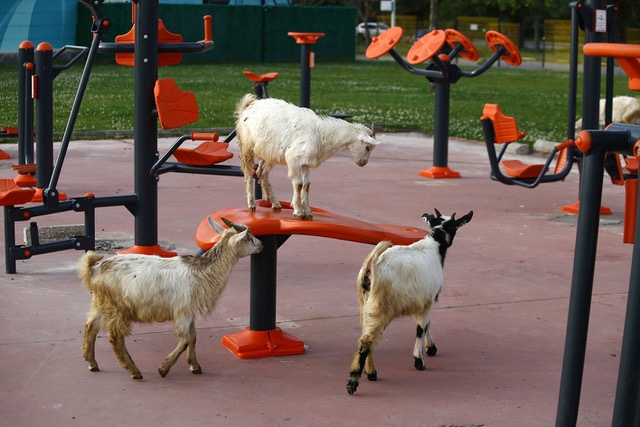 Korona Günlerinde Fotoğraf