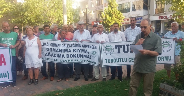 Sadece doğa değil, hukuk da katlediliyor