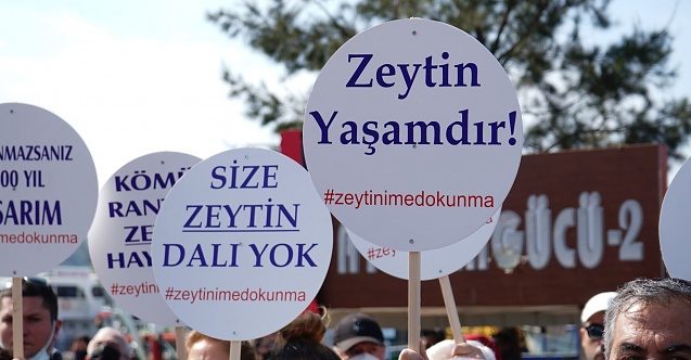 Ayvalıkta, zeytinlikleri yok edecek yönetmeliğe tepki!