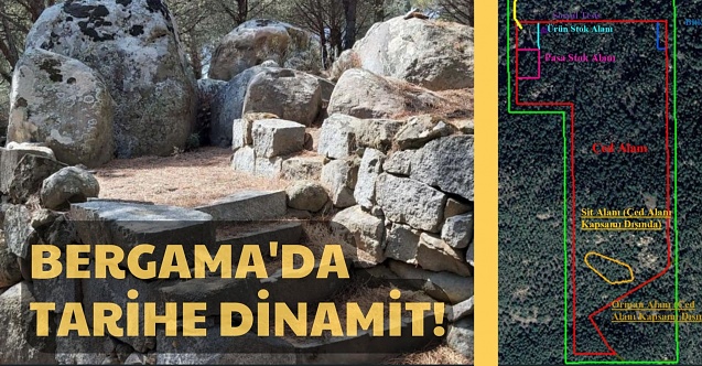 Bergama'da tarihe dinamit! 4 bin ağaç kesilecek...