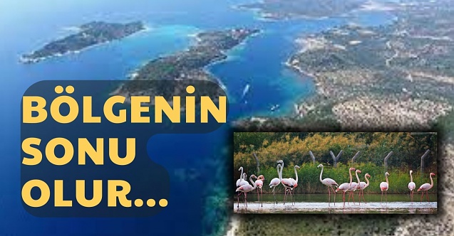 Dikili'de endişe yaratan izne tepkiler büyüyor!