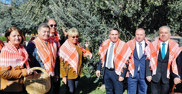 Bergama’da zeytin sezonu başladı