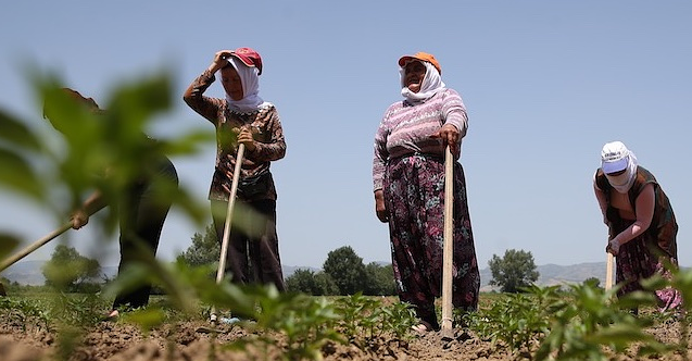 Bakırçay Havzası'nda büyük dönüşüm!