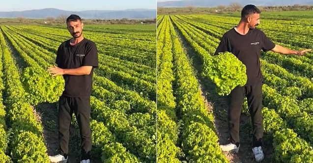 Bergama'da 'Satarsam şerefsizim' diyen çiftçinin isyanı pahalıya patladı