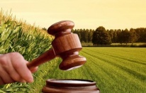 Dikili'deki imar planlarına yargı freni!