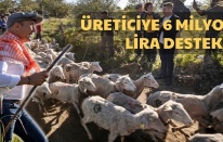 Bergama Kozak'ta, büyük yolculuk başladı!