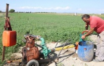 Dikili'nin tarımsal alanları için kuraklık tehlikesi!