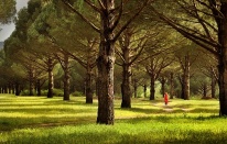 Kozak’taki taş ocağına veto!