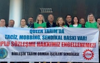 Queen Flowers işçilerinin davası devam ediyor!