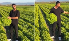 Bergama'da 'Satarsam şerefsizim' diyen çiftçinin isyanı pahalıya patladı