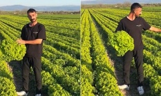 Bergama'da 'Satarsam şerefsizim' diyen çiftçinin isyanı pahalıya patladı