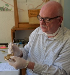 2 Bin yıl önce kadınların ömrü, erkeklerin ise 40 yılmış