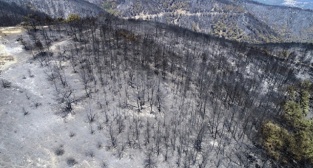 İzmir'de ki yangından bu görüntüler kaldı