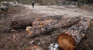 Kozak için tepki ver!