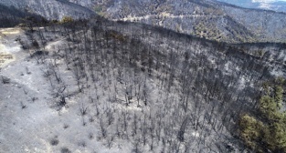İzmir'de ki yangından bu görüntüler kaldı