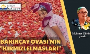 Bakırçay Ovası'nın "Kırmızı Elmasları"