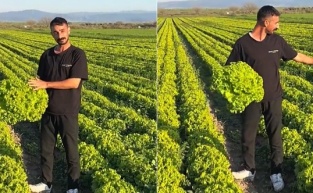 Bergama'da 'Satarsam şerefsizim' diyen çiftçinin isyanı pahalıya patladı