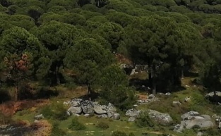 Kozak'a dinamite Bakanlık onayı! 4 bin ağaç kesilecek...