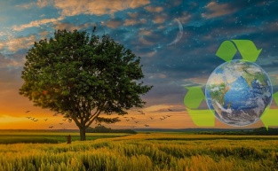 Bergama Belediyesi atık yağları doğaya kazandıracak