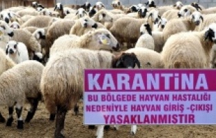 Bergama'da korkutan karantina