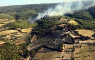 Bergama’da orman yangını!