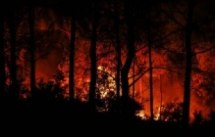 CHP'li vekilden korkunç iddia