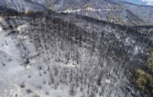 İzmir’de ki yangından bu görüntüler kaldı