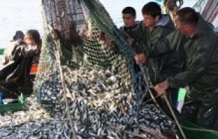 Balık avı sezonu açıldı