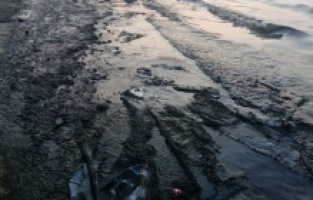 Aliağa'da deniz petrole büründü