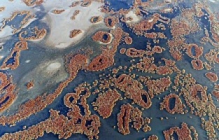 Gediz Deltası UNESCO Yolunda