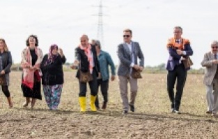 Kara kılçık buğdayı İzmir’in ovalarına geri dönüyor