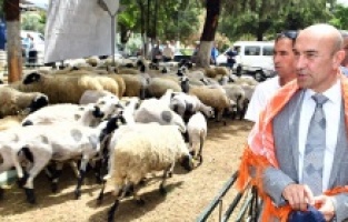 Tarımda İzmir rüzgarı