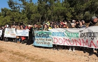 Ayvalık halkının zaferi! Tabiat Parkı ihalesi iptal edildi