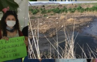 Aşağıkırıklar'da köylünün "Süt Kardeşler"'e atık isyanı!