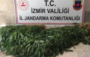 Dikili ve Menemen'de uyuşturucu operasyonu yapıldı