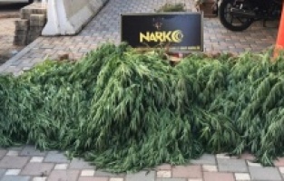 Bergama, Kiraz ve Beydağ'da uyuşturucu operasyonu