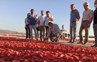 Milletvekili Sındır, Bergama'da üreticiyle buluştu