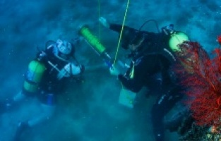 Ayvalık'ta "Kırmızı Mercanlar" koruma altına alındı