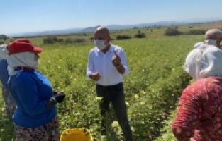 Bergama’da çiftçiye su yok, yandaşa var!