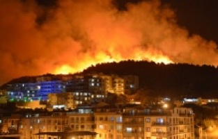 Dikili'deki yangın korku yarattı!