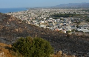 'Yakarım bu Dikili'yi' diyerek yangın çıkaran kişi serbest!