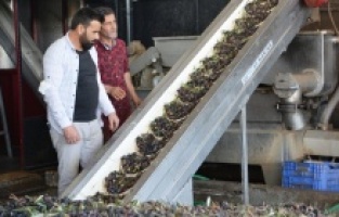 Ayvalık’ta tağşiş ve taklide suç duyurusu!