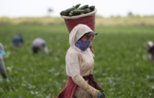 "Dikili ve Kınık OSB'de küçük üreticiyi düşünen yok!"