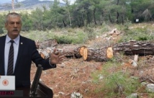 "Bergama'da orman arazileri rant uğruna peşkeş mi çekiliyor?"