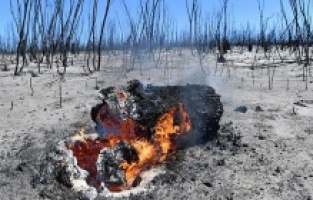 İklim krizi büyüyor: 2020'de 350 bin kişi öldü!