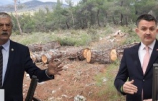 "Bakan Pakdemirli, Bergama ağaç katliamını itiraf etmiştir!"